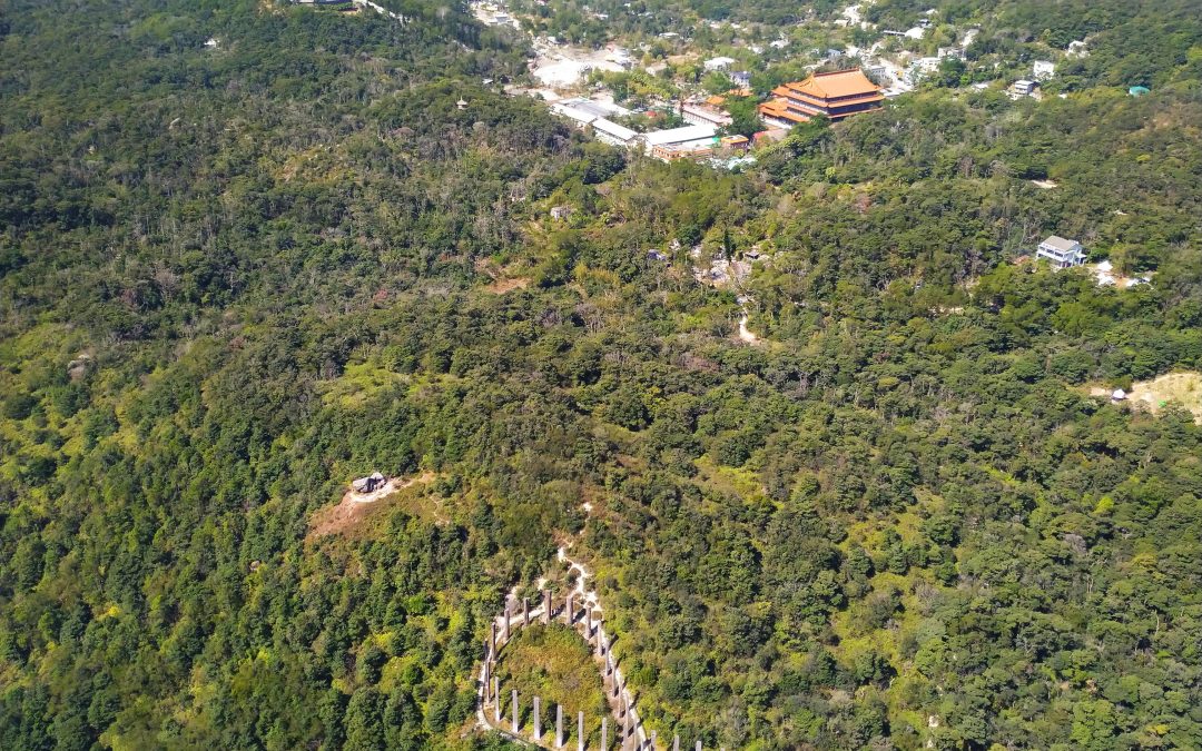 The Big Buddha Experience